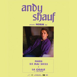 Andy Shauf en concert à La Cigale en mai 2023