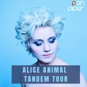 Alice Animal en concert au Pan Piper en février 2023