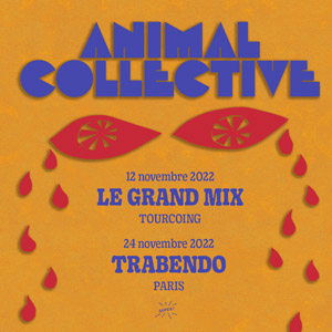 Animal Collective en concert au Trabendo en 2022