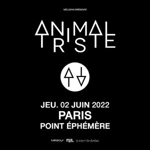 Animal Triste en concert au Point Ephemere en juin 2022