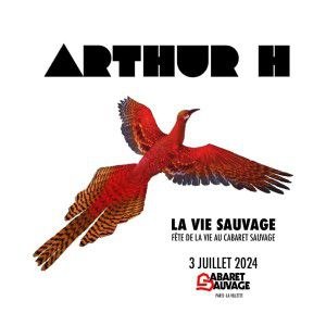 Arthur H en concert au Cabaret Sauvage en juillet 2024