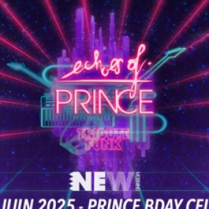 Concert Echoes Of Prince à Paris - New Morning