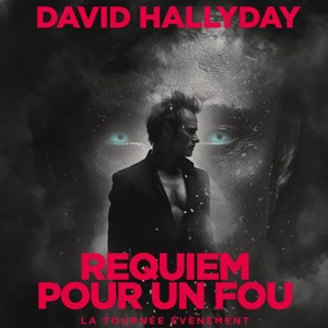 David Hallyday en concert au Dôme de Paris - Palais des Sports