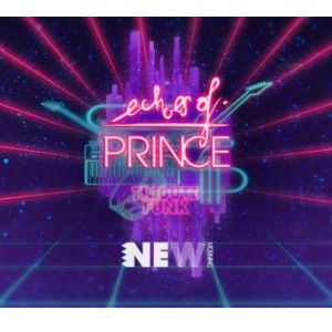 Echoes Of Prince Concert New Morning Paris 2026
