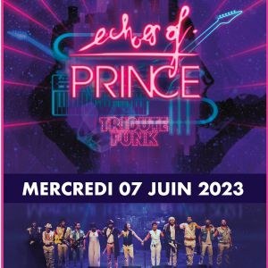 Echoes Of Prince en concert au New Morning