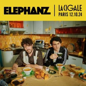 Elephanz en concert à La Cigale en octobre 2024