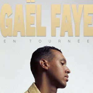 Gael Faye Concert Accor Arena Paris 2027