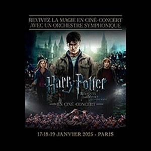 Harry Potter 8 à Paris Palais des Congres en janvier 2025