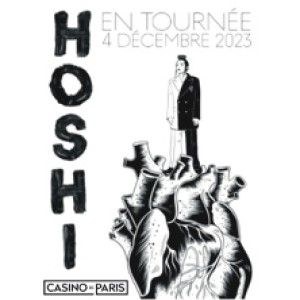 Hoshi en concert au Casino de Paris en 2023
