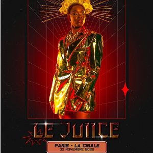 Le Juiice en concert à La Cigale en novembre 2022