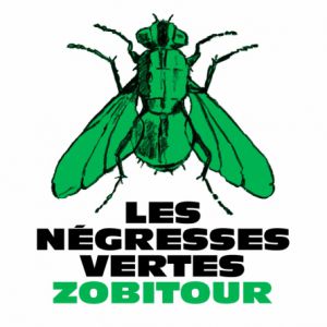 Les Negresses Vertes en concert La Maroquinerie en octobre 2026