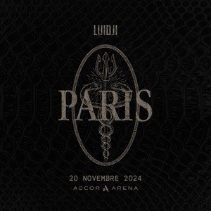 Luidji en concert à l'Accor Arena en novembre 2024