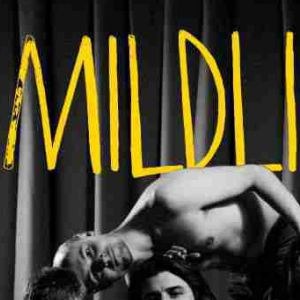 Mildlife en concert au Badaboum