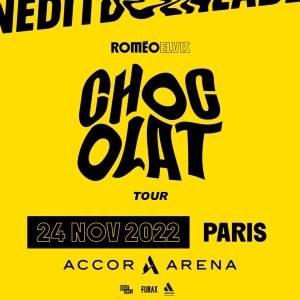 Romeo Elvis en concert à l'Accor Arena en 2022