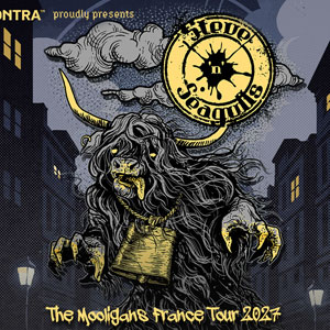 Steve'n'Seagulls Concert Le Forum Vauréal 2026