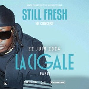 Still Fresh en concert à La Cigale en juin 2024