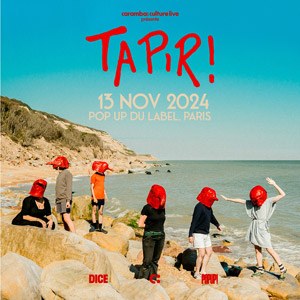 Tapir en concert à Pop Up! en novembre 2024