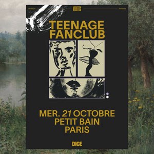 Teenage Fanclub Concert Petit Bain Paris 2026