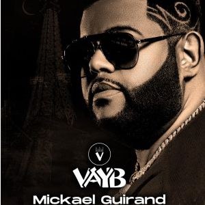 Vayb - Mickael Guirand en concert au Zénith de Paris en 2023