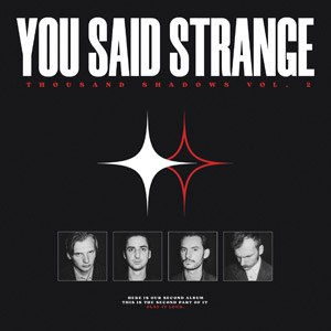 You Said Strange en concert au Petit Bain en 2023