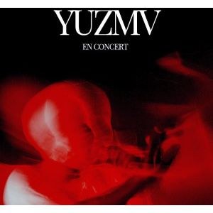 Yuzmv en concert à l'Elysée Montmartre en février 2023