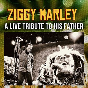 Ziggy Marley en concert à l'Elysée Montmartre en juillet 2022