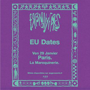 Friendly Fires à Paris : concert, date et billets