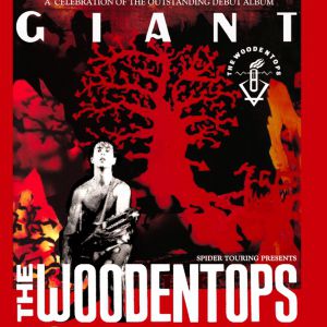 The Woodentops à Paris : concert, date et billets